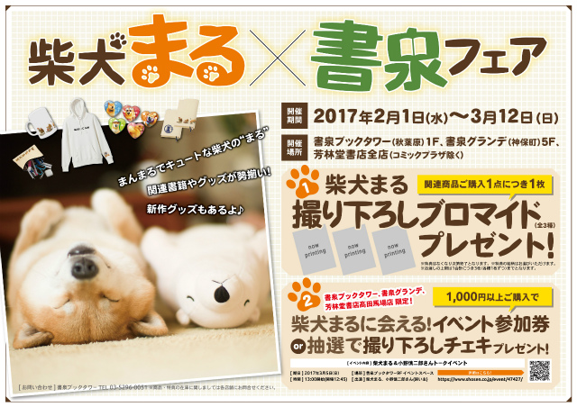 柴犬まる×書泉 フェア