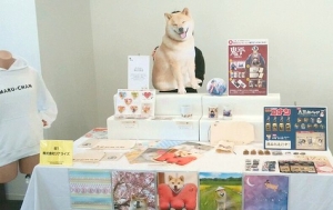 カフェレオ キャラクター コンベンション 2017春