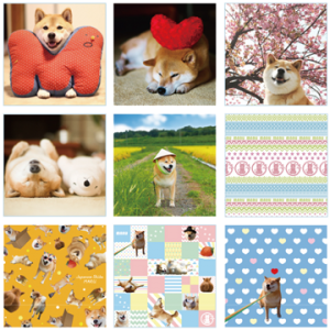 柴犬まる×キャラデパ！限定　ハンドタオル