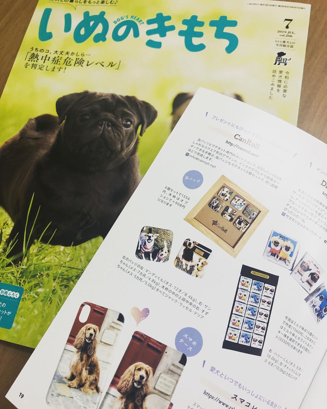 いぬのきもち 7月号にCanRollが掲載！